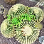 With Private Pool And Tennis Court 150 Metres From The Sea-villa El Olivo *