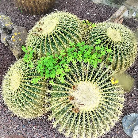 With Private Pool And Tennis Court 150 Metres From The Sea-villa El Olivo *