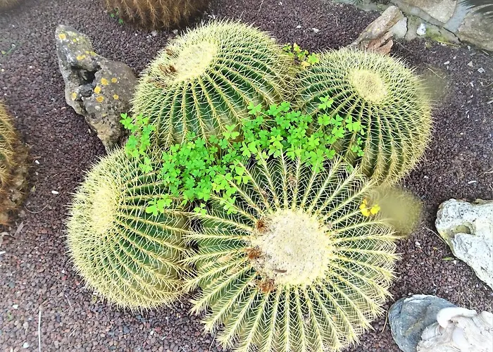 With Private Pool And Tennis Court 150 Metres From The Sea-villa El Olivo *